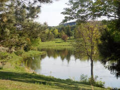 Image of pond and landscape.
